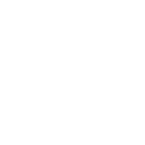 icon2