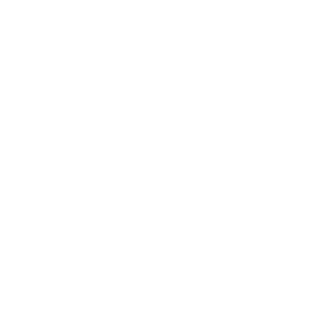icon3