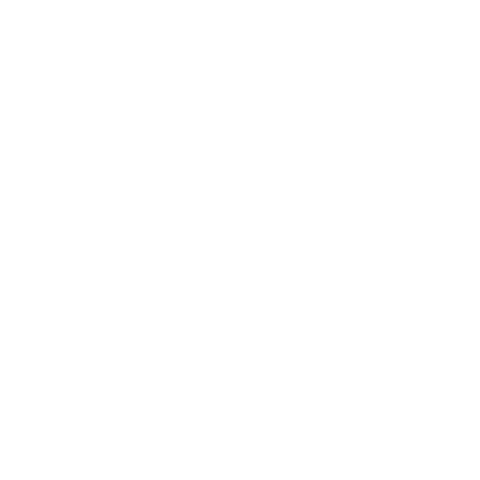 icon5